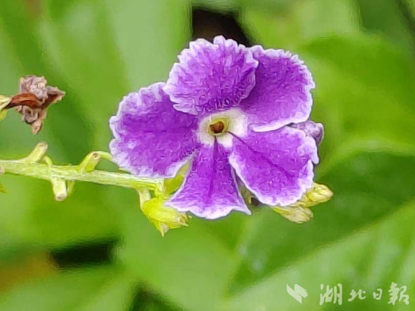 如何开皇冠信用盘